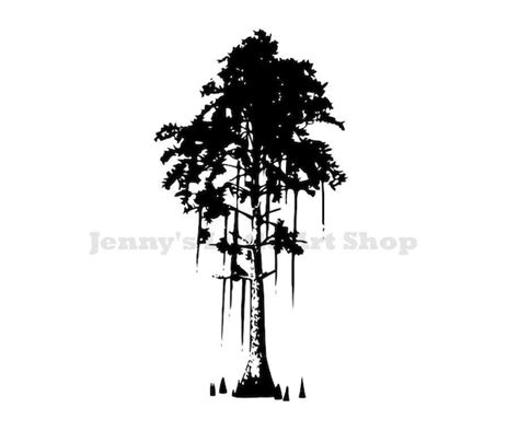 Cypress Tree Swamp Silhouette