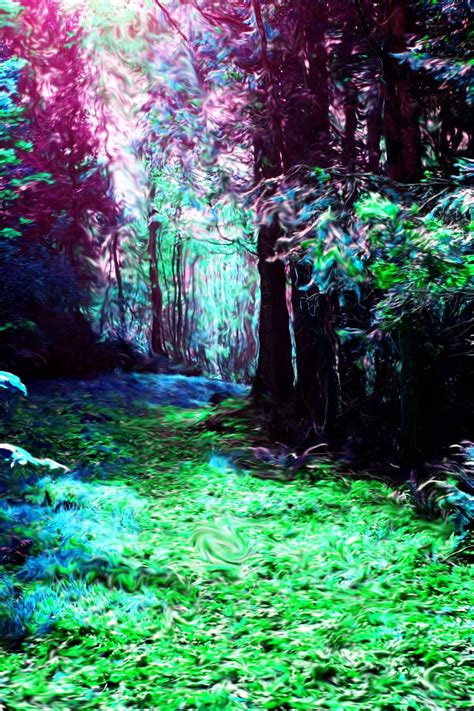 "Enter the Forest" A trippy psychedelic art print of the forest, created in Photoshop by Lisa ...