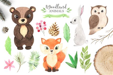 Watercolor Woodland Animals Set By Larysa Zabrotskaya | TheHungryJPEG