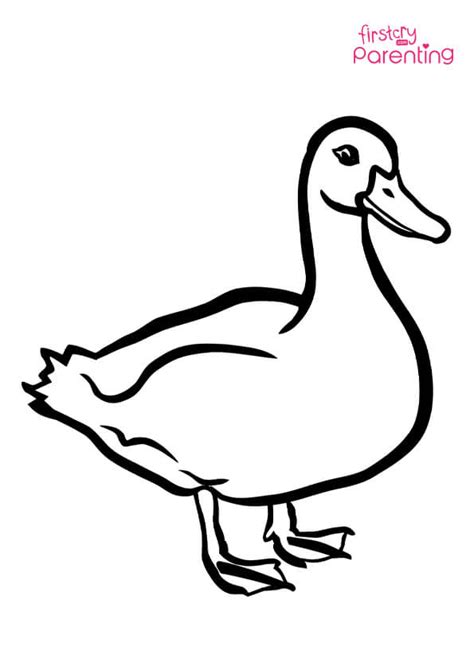 Easy Duck Coloring Page for Kids | FirstCry Parenting