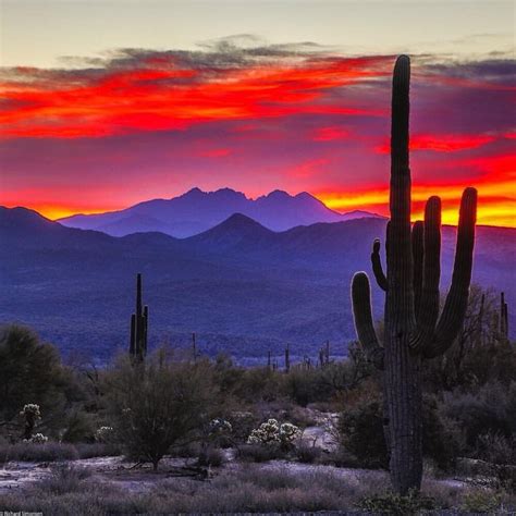 Desert sunset | Desert painting, Arizona landscape, Arizona sunset