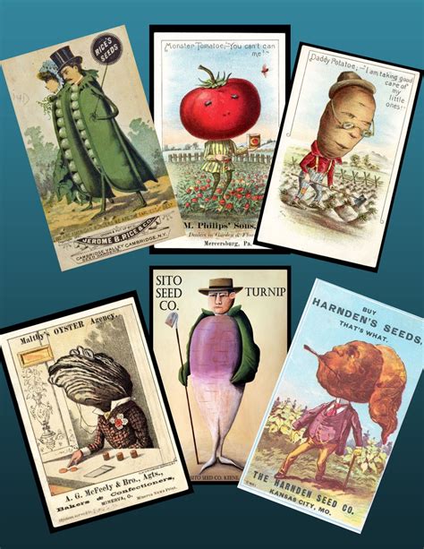 Vintage Victorian Trading Cards of Vegetable People for Junk | Etsy