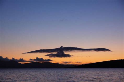 Amazing Nature Clouds That Look like Animals ...