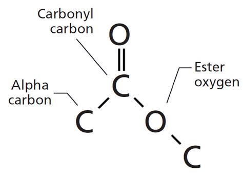 Ester Functional Group Examples