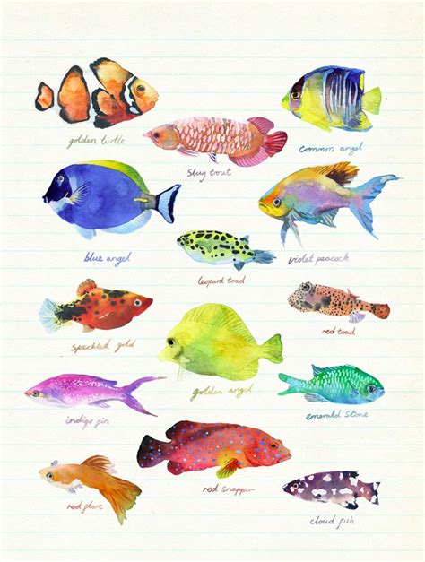 Saltwater Fish Drawing at GetDrawings | Free download