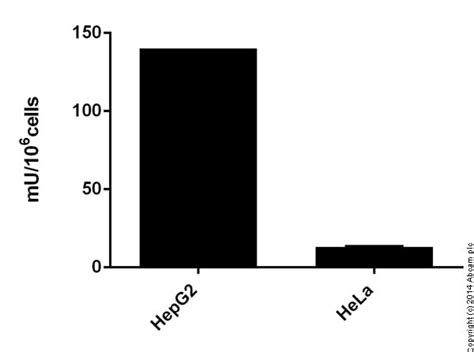 Glutamate Dehydrogenase Activity Assay Kit (ab102527) | Abcam