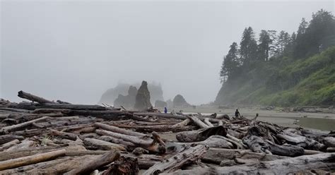 Balza Travels: Olympic National Park - Beaches and Rain Forest