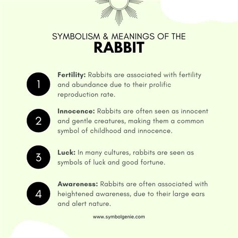 Rabbit: Rabbit symbolism and meanings - Symbol Genie