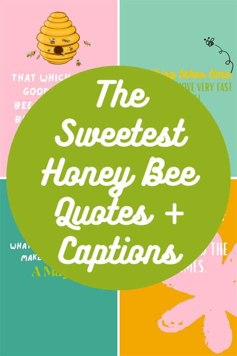 The Sweetest Honey Bee Quotes + Captions - Darling Quote | Bee quotes ...