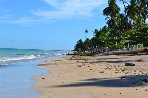 Maceió,brazil,beach,sea,caribbean - free image from needpix.com