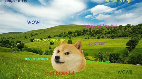 Doge Meme Wallpaper - WallpaperSafari