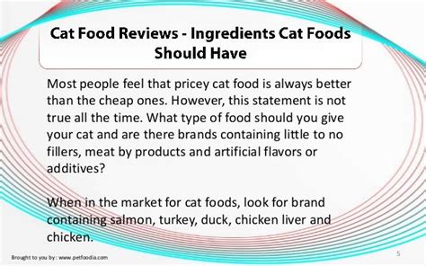 Cat Food Reviews - Ingredients Cat Foods Should Have