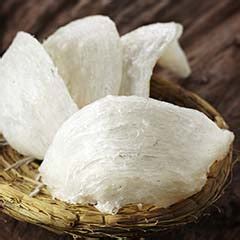 Bird Saliva: The Premium Delicacy in Southeast Asia