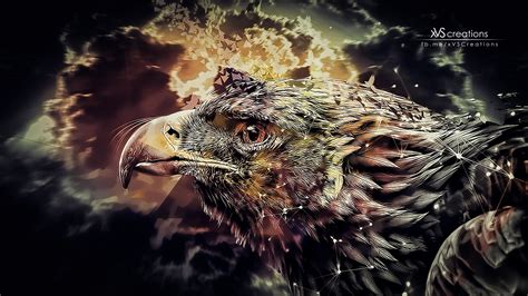 1600x900 resolution | illustration of eagle, eagle, digital art ...