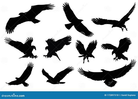 Eagle Silhouette, Flying Bird Silhouette Stock Vector - Illustration of nature, positions: 172897318