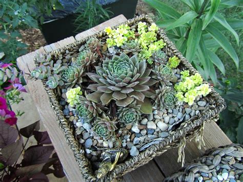 Container Fairy Garden | Cheesehead Gardening: Miniature Container Gardens / Fairy Gardens ...