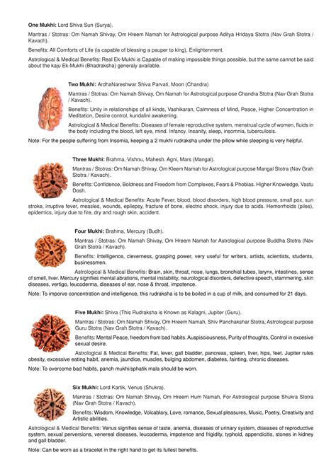 1-21 Mukhi Rudraksha Benefits - Omrudraksha