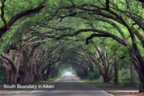 Aiken Hotels: Find hotels in Aiken SC with Reviews, Maps, and Discounts