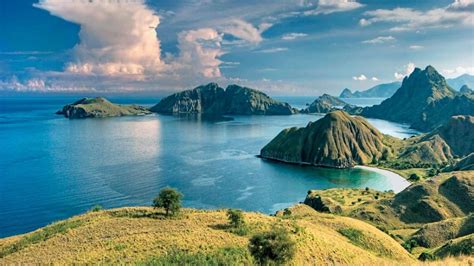 De 25+ bedste idéer inden for Komodo Nationalpark på Pinterest | Komodo ...