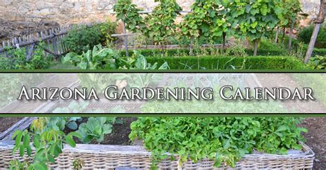 Arizona Gardening Calendar | Mesa, Gilbert, Queen Creek AZ