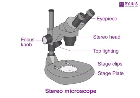 43 microscope labeled with functions