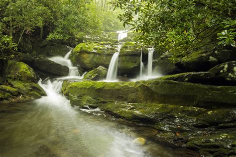 Rock Waterfall in Green Forest