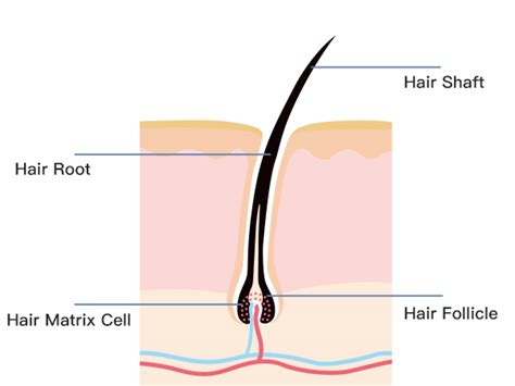 Best Way to Remove Unwanted Hair At Home with Minimal Pain: Are You Still Shaving or Waxing?