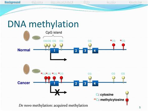 PPT - Exploring the role of DNA Methylation in the development of drug resistance in ovarian ...