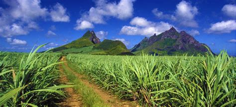 Climate of Mauritius - Mauritius Climate Conditions