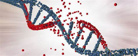 Most Common Genetic Disorders And Prevention Tips