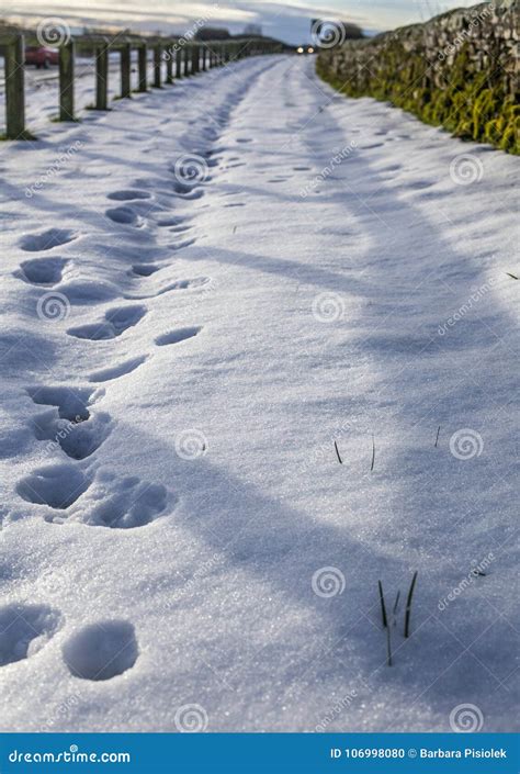 Yorkshire, England - the Countryside Covered with Snow. Stock Photo - Image of nice, countryside ...