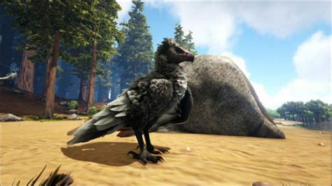 Argentavis – Guía Ark: Survival Evolved