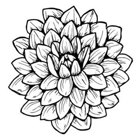 35 Easy Ways of How To Draw a Flower