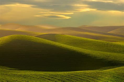 The rolling hills of the Palouse in Eastern Washington | Palouse, Landscape photography, Landscape