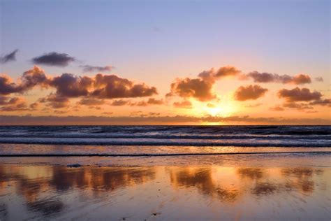 Torrey Pines State Beach – North Beach, La Jolla, CA - California Beaches