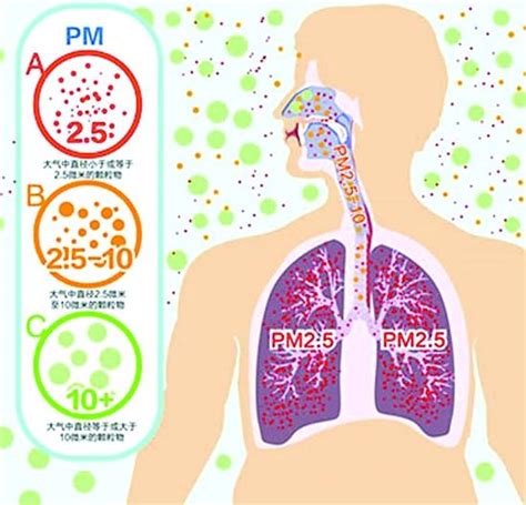 PM2.5到底是什么？ 深度解析 什么是PM50、PM10？ - 知乎