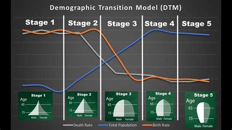 The Demographic Transition Model - YouTube