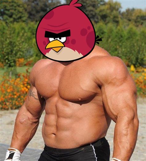 2nd image of previous post : angrybirds