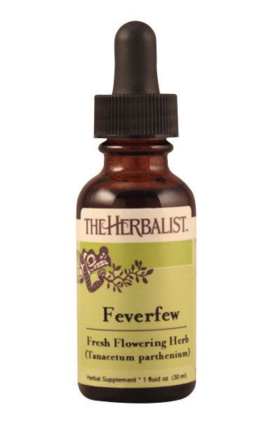 Feverfew herb Liquid Extract - The Herbalist