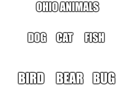 ohio animals Blank Template - Imgflip