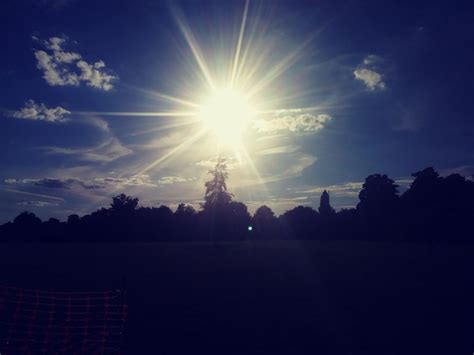 Houghton Hall Park in the Morning Marek