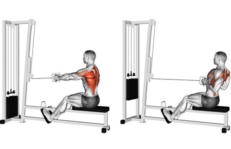 Cable Row: How To Do, Form, Variations and Benefits