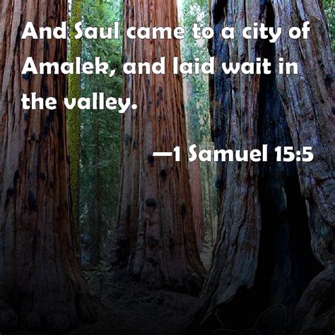 1 Samuel 15:5 And Saul came to a city of Amalek, and laid wait in the valley.