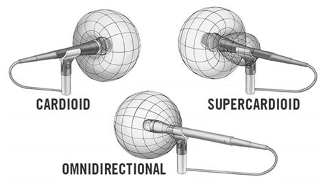 Cardioid vs Supercardioid Mic: The Key Differences Explained