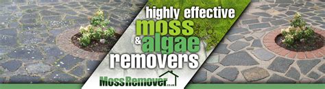 Moss Remover & Moss Killer. Moss Removal on Roofs, Patios & Drives.