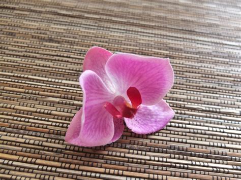 A Pair of Pink Orchid Hair clip Wedding Accessories pink | Etsy