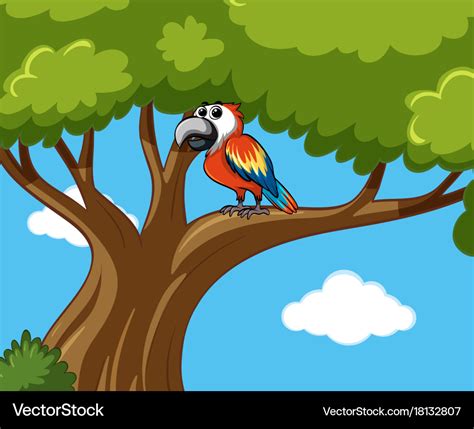 Parrot bird on the tree Royalty Free Vector Image