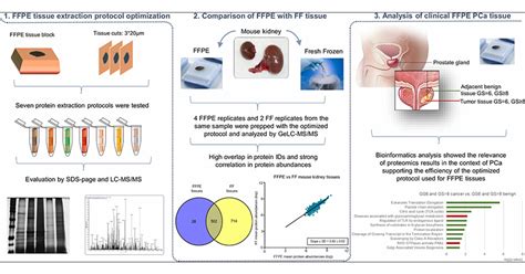 Preparation Of Formalin-fixed Paraffin-embedded Tissue, 45% OFF