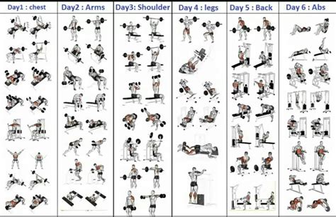 6 Day Gym Workout Schedule for Men PDF