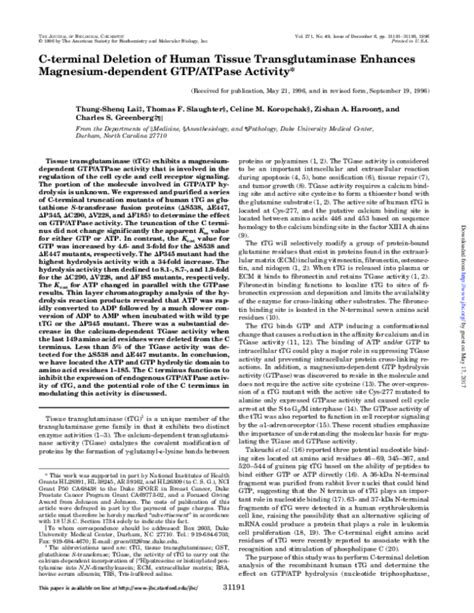 (PDF) C-terminal Deletion of Human Tissue Transglutaminase Enhances ...